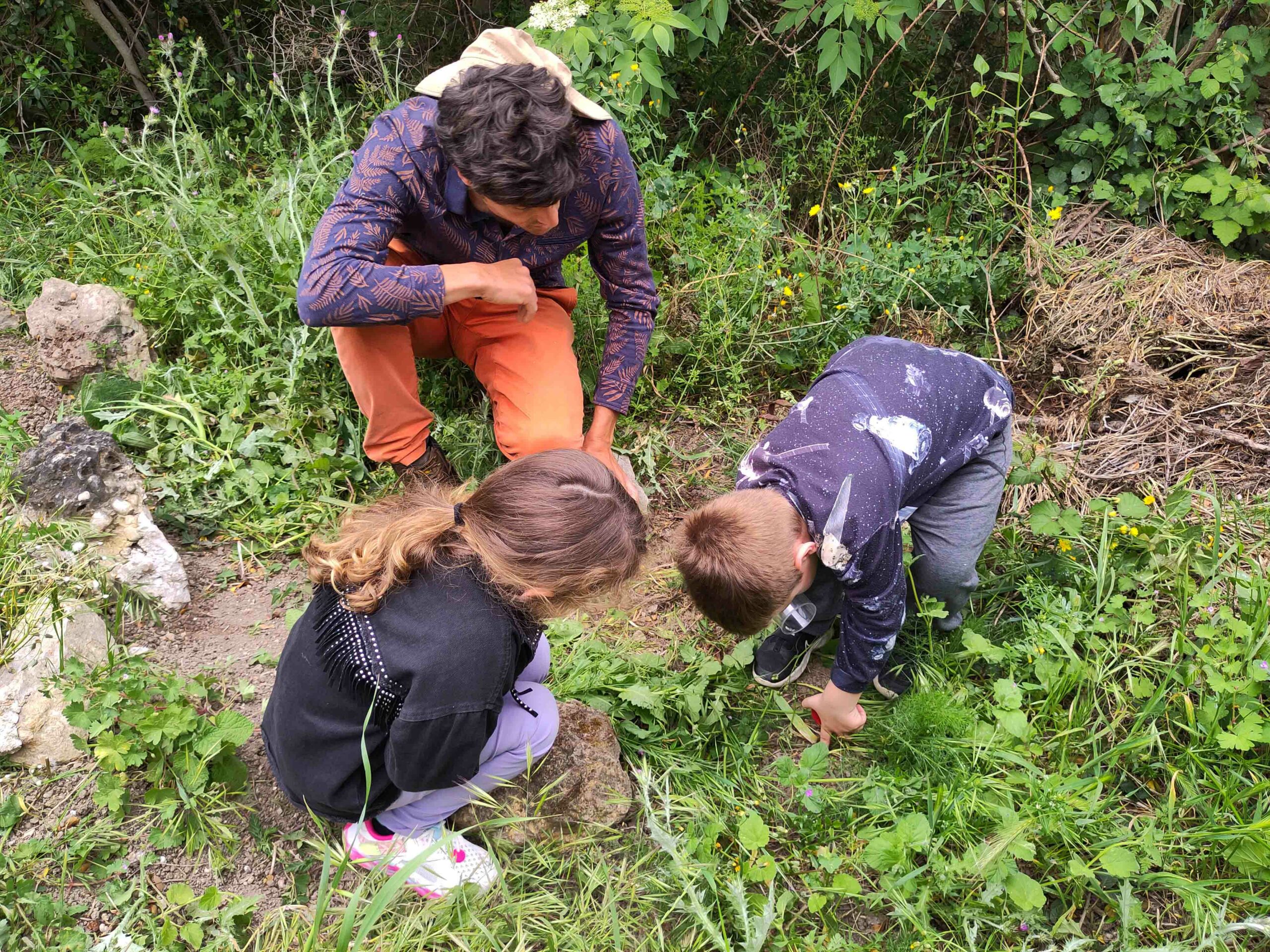 Action ISSU sur le terrain