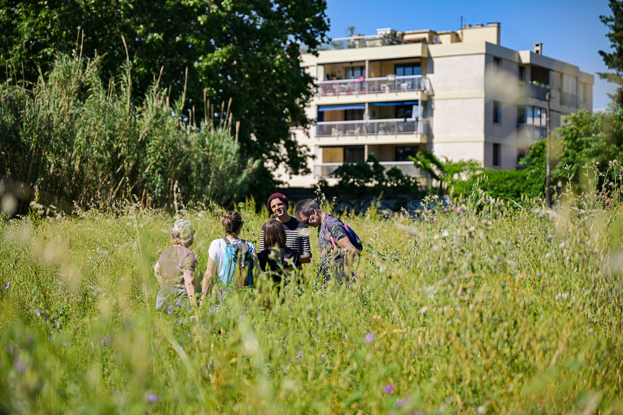 Un animateur environnement s'adresse à plusieurs personnes au milieu d'une friche urbaine de Marseille, la végétation est verdoyante et omniprésente, avec en arrière plan un immeuble