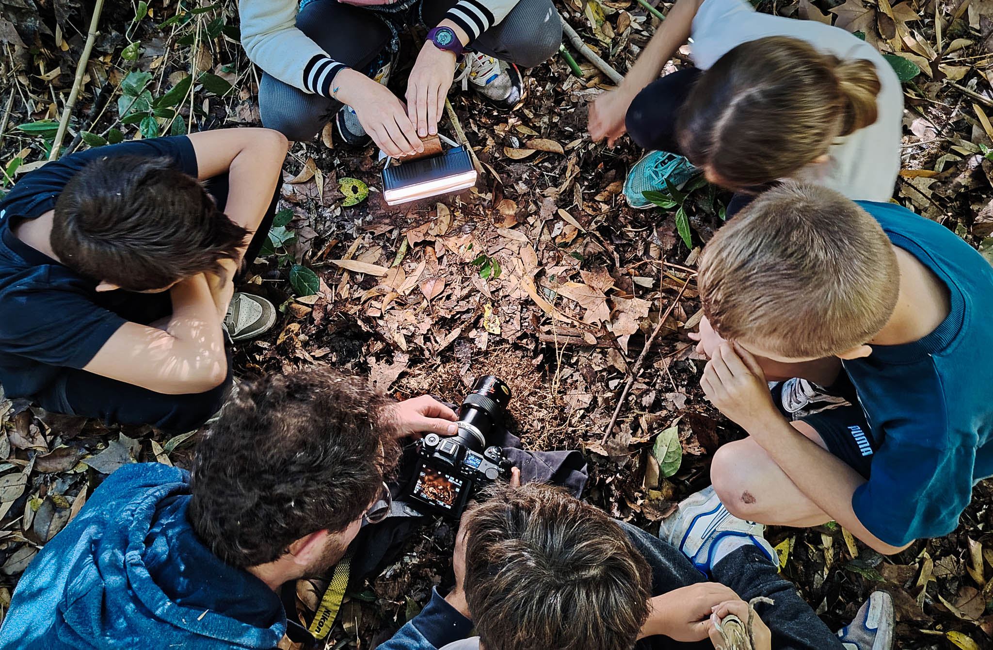 Un groupe d'enfants et un animateur sont accroupis au sol sur de la litière pour capturer une photo macroscopique parmi les habitants qui vivent en-dessous des feuilles mortes